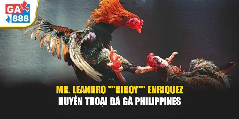 Mr. Leandro “Biboy” Enriquez GA888 – Huyền Thoại Đá Gà Philippines 